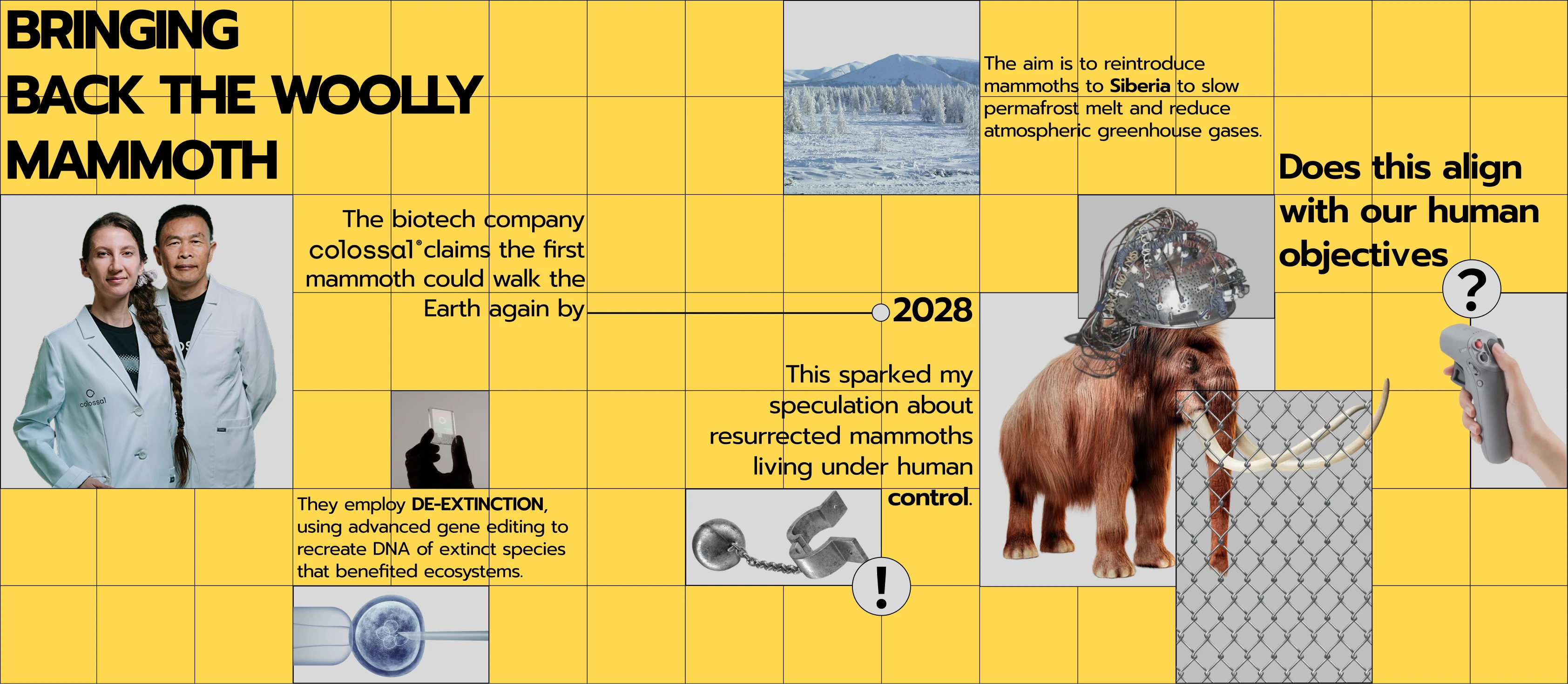 Bringing Back the Woolly Mammoth visual study
